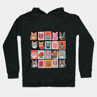 a lot of cats in the frames Hoodie